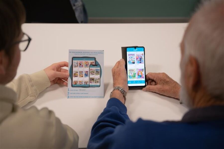 Dataveiledning på Demo Rona.