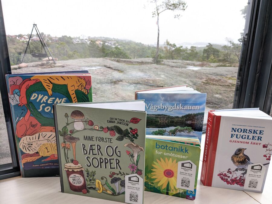 Noen bøker i hyttebiblioteket