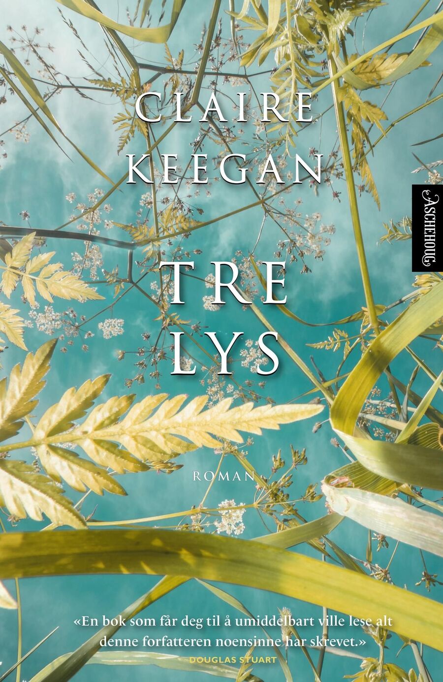 Bokomslaget til boka "Tre lys" av Claire Keegan